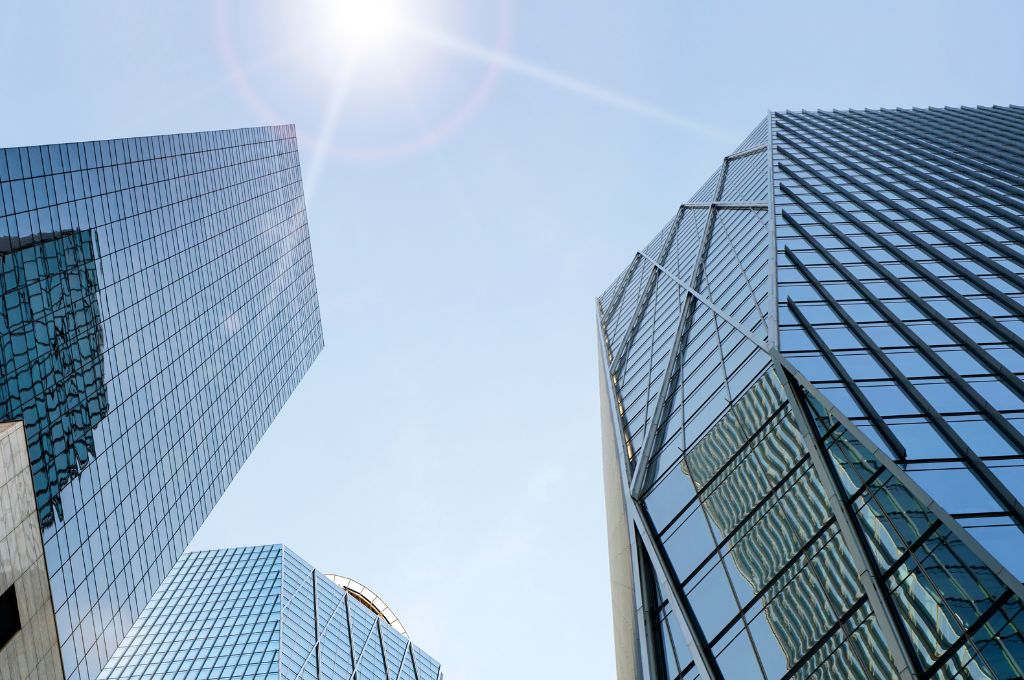 Jakie obowiązki ma przedsiębiorca w pierwszym roku działalności?